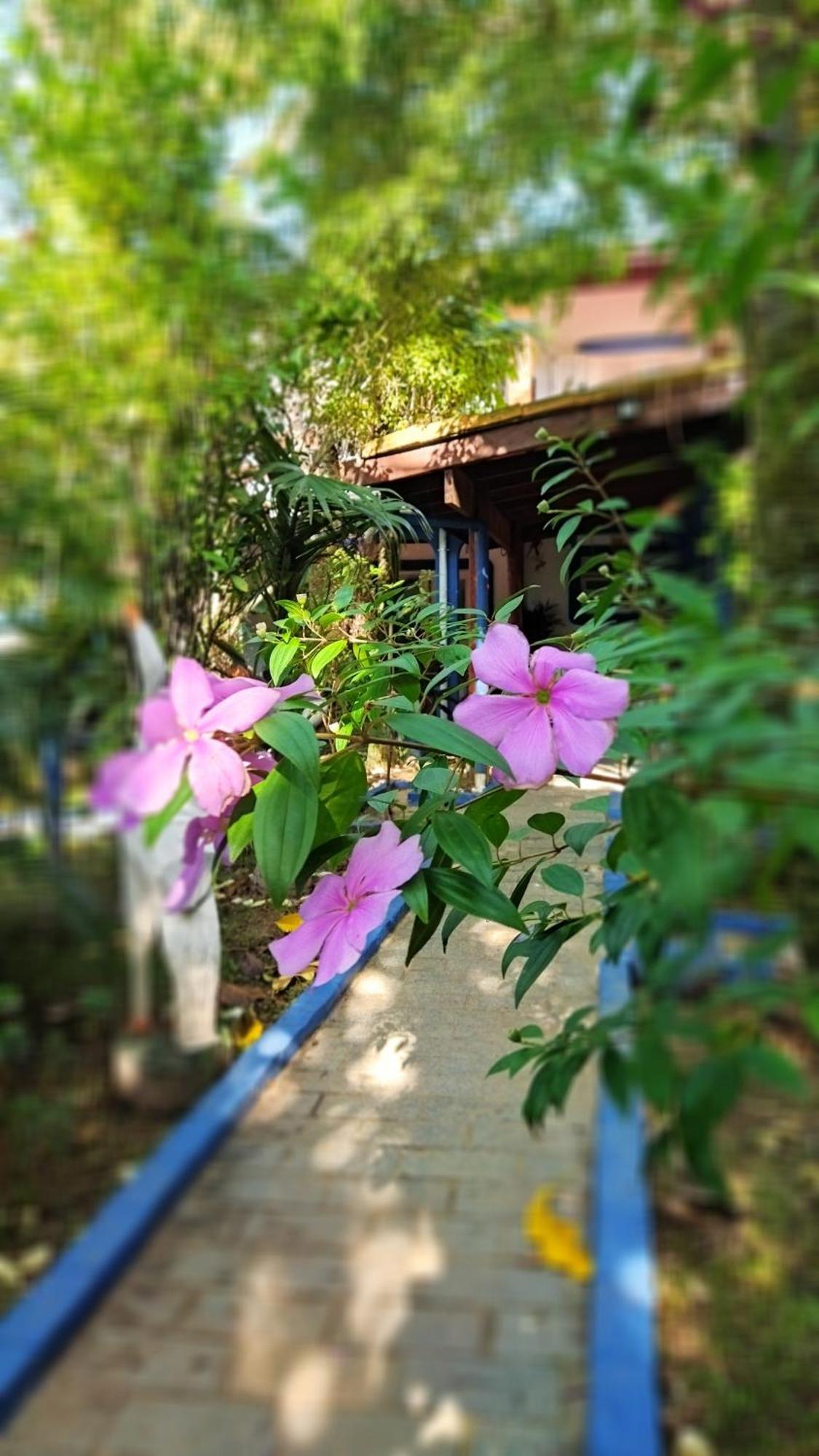 A Casa Do Sol Cibratel Pousada Itanhaém Dış mekan fotoğraf